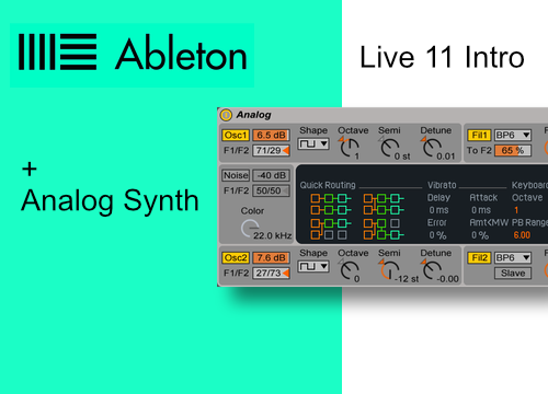Ableton Live 11 Intro + Analog Synth