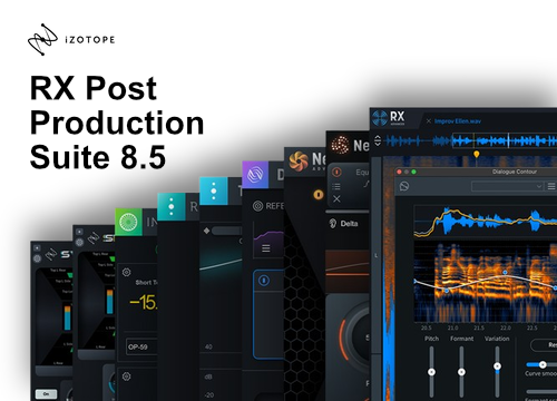 iZotope RX Post Production Suite 8.5