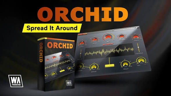 WA Production Orchid