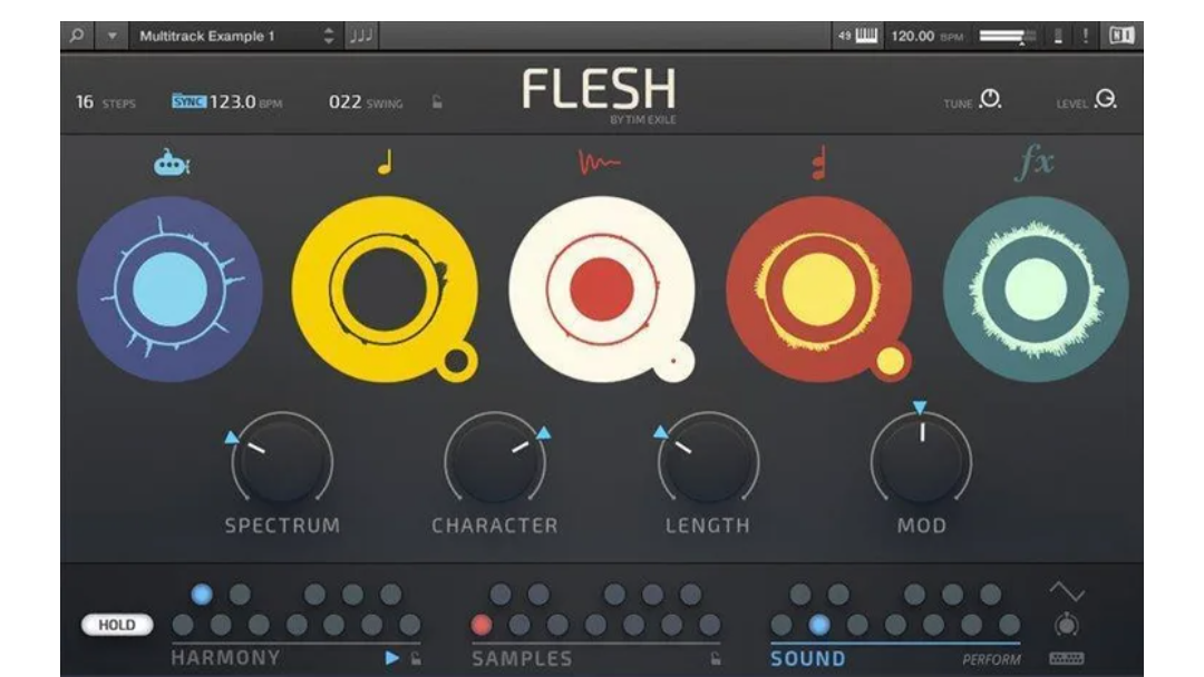 Native Instruments Flesh
