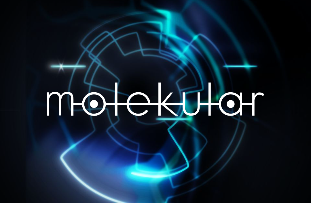 Native Instruments Molekular