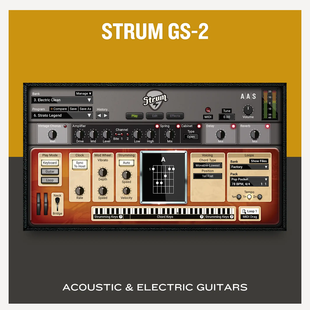 AAS Applied Acoustics Systems Strum GS-2