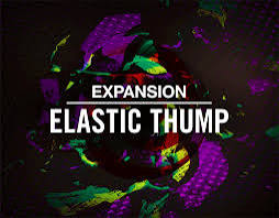 Native Instruments Maschine Expansion: Elastic Thump