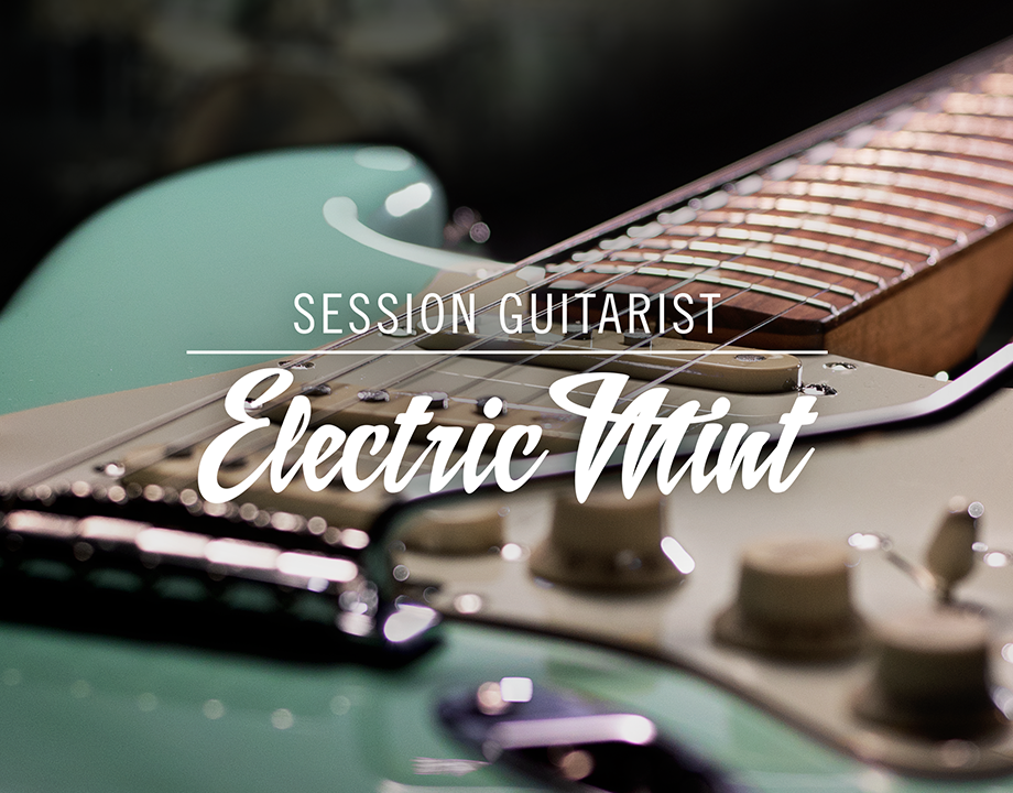 Native Instruments Session Mint Electric Guitarist