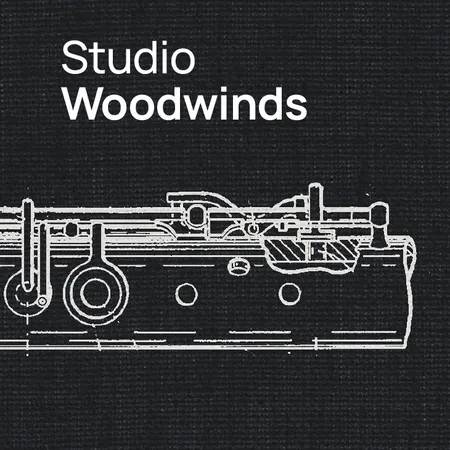 vsl studio woodwinds
