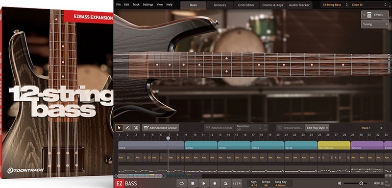 Toontrack 12-String Bass EBX