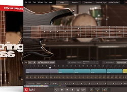 Toontrack 12-String Bass EBX