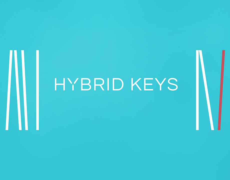 Native Instruments Hybrid Keys 🎹