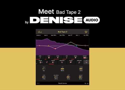 Denise Audio Bad Tape 2