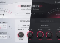 Liquidsonics Lustrous Plates Standard