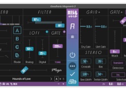 Goodhertz Megaverb