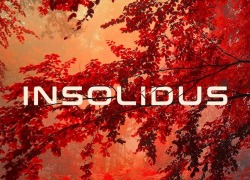 8 Dio Insolidus Choir