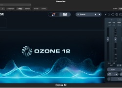 iZotope Izotope 12 standard