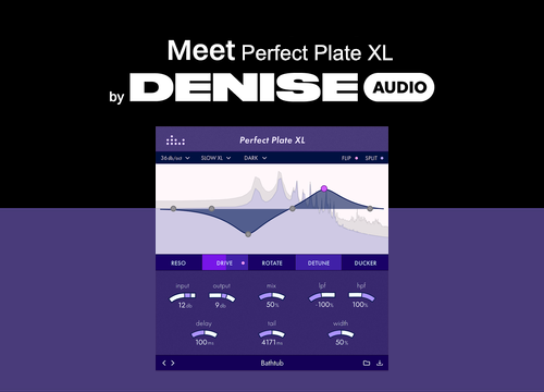 Denise Audio Perfect Plate XL