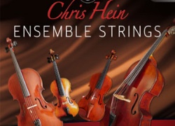 Best Service BEST SERVICE　Ensemble Strings