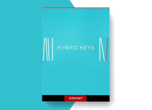 Native Instruments Hybrid Keys