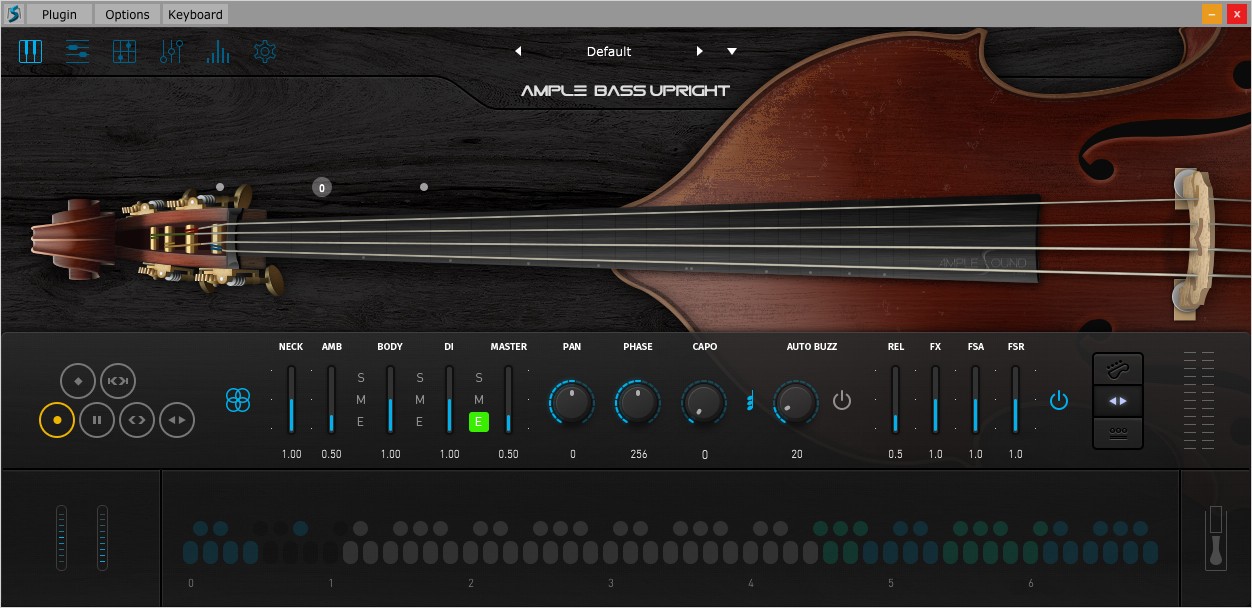 Ample Sound Bass Upright