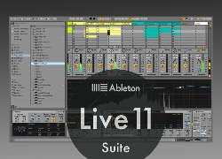 Ableton Suite 11 Live