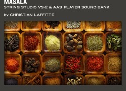 AAS Applied Acoustics Systems Masala