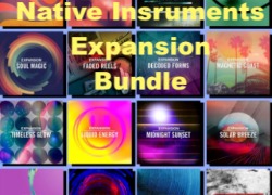 Native 4 Maschine Expansion Bundle
