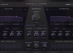 Liquidsonics Cinematic Rooms Professional