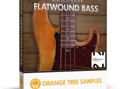 Orange Tree Samples Evolution Flatwound Bass