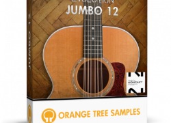 Orange Tree Samples Evolution Jumbo 12