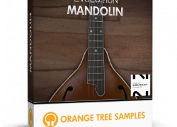 Orange Tree Samples Evolution Mandolin