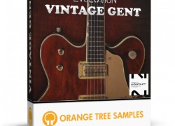 Orange Tree Samples Evolution Vintage Gent