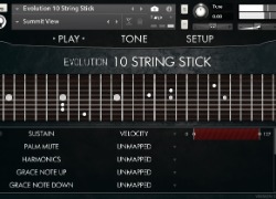 Orange Tree Sampes Evolution 10 String Stick