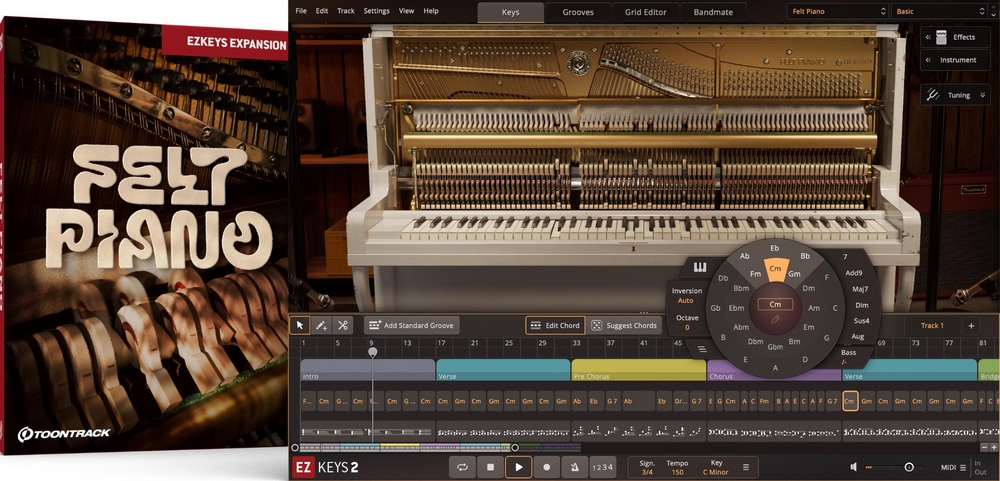 Toontrack EKX Felt Piano - for EZkeys 2