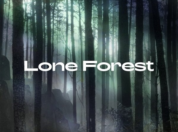 Native Instruments Maschine Expansion Lone Forest