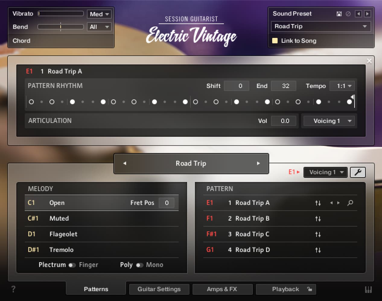 Native Instruments Session Guitarist - Electric Vintage