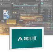 Steinberg Absolute 6