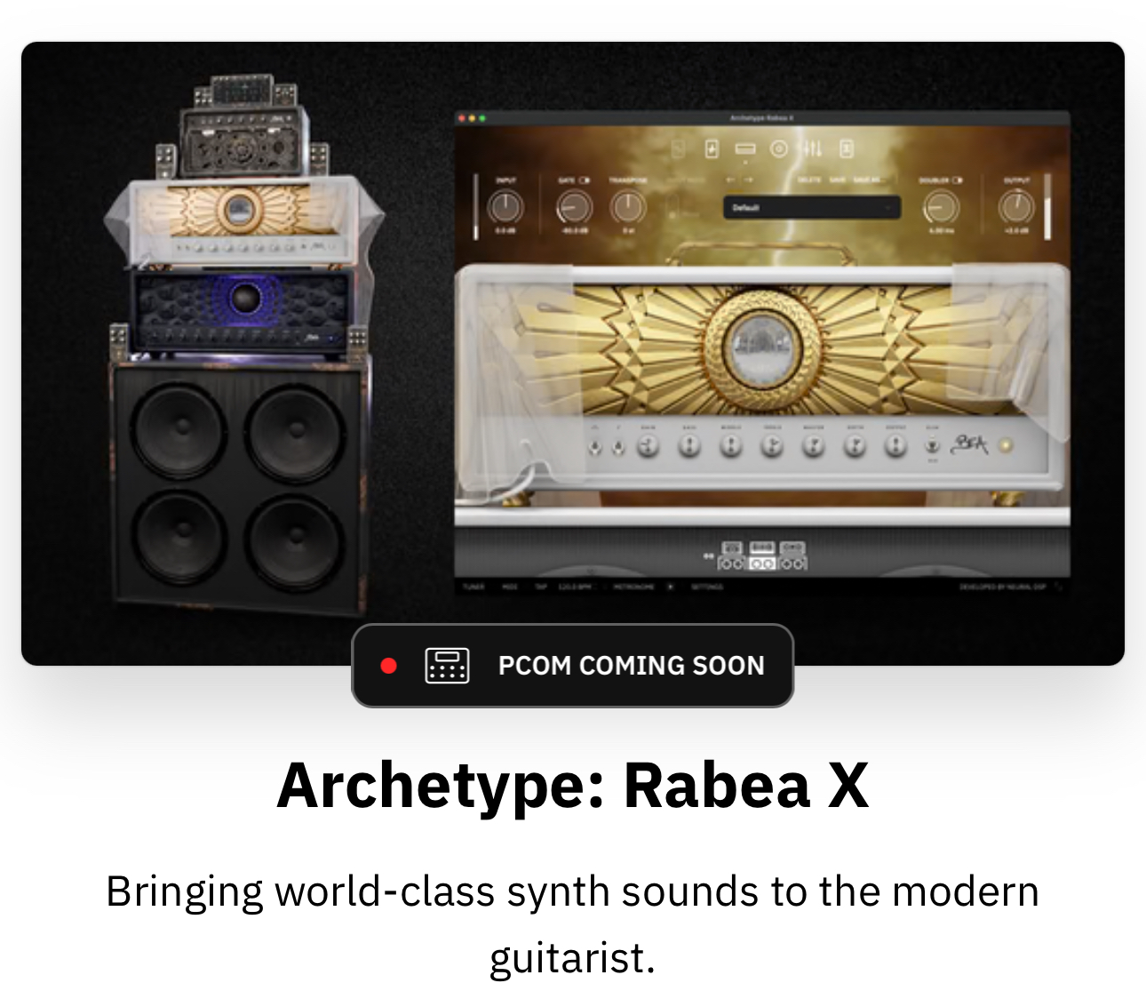 Neural DSP Archetype: Rabea X