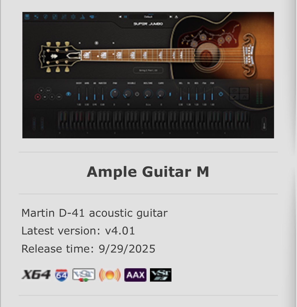 Ample Sound Martin D-41 Acoustic Guitar