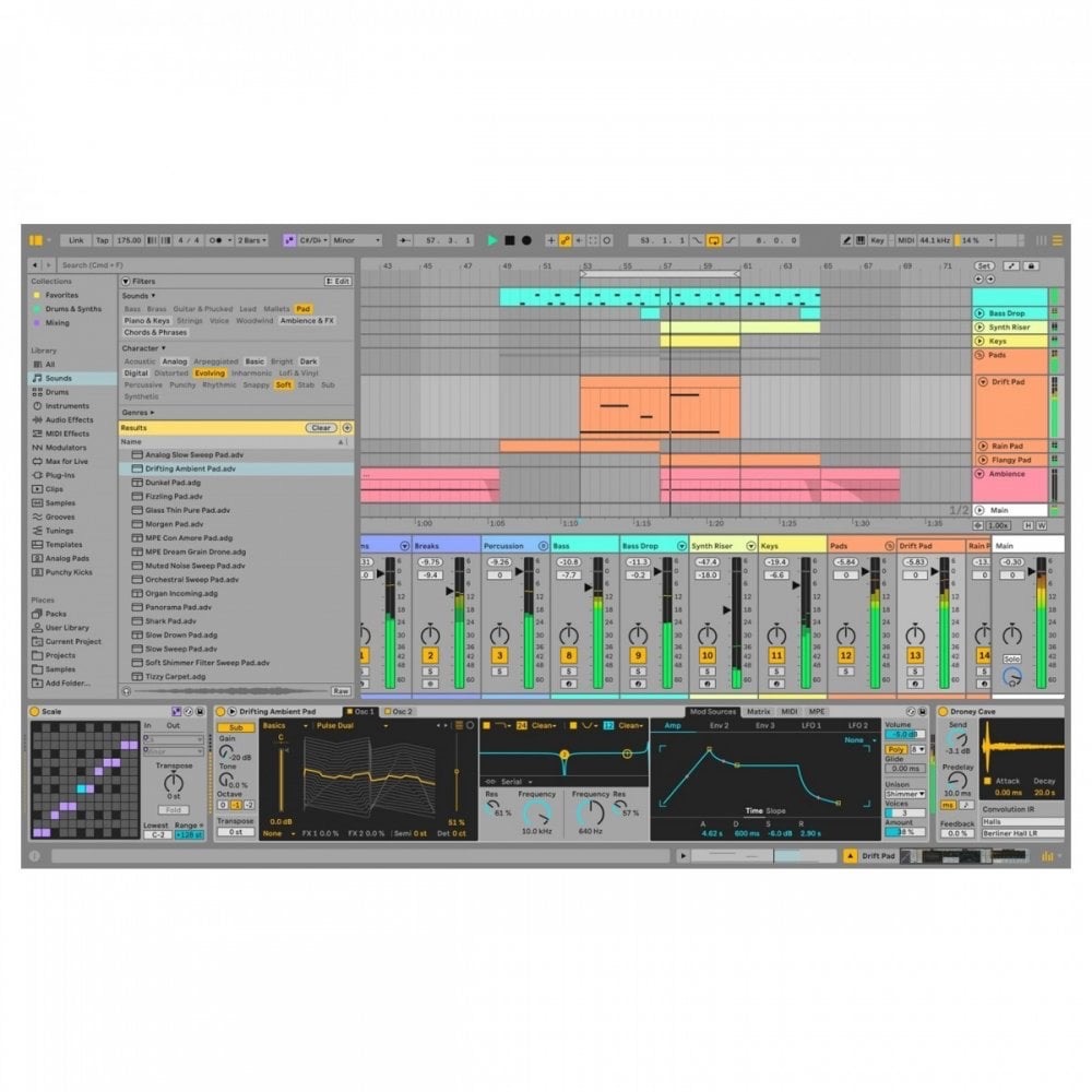 Ableton Live 12 Standard