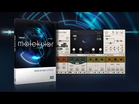 Native Instruments Molekular