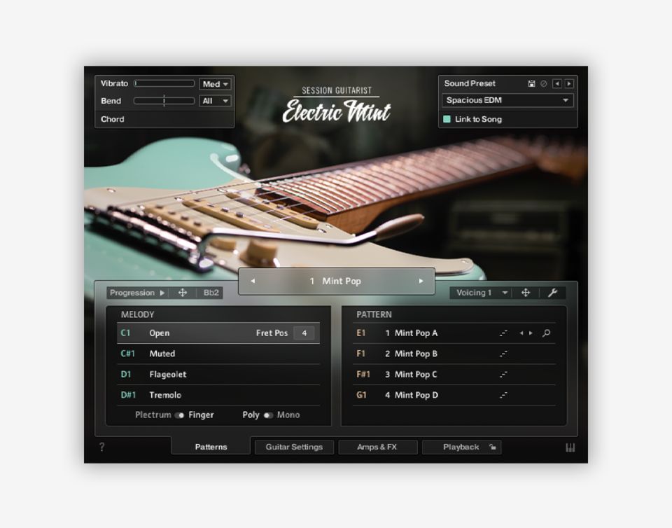 Native Instruments Session guitarist - electric mint