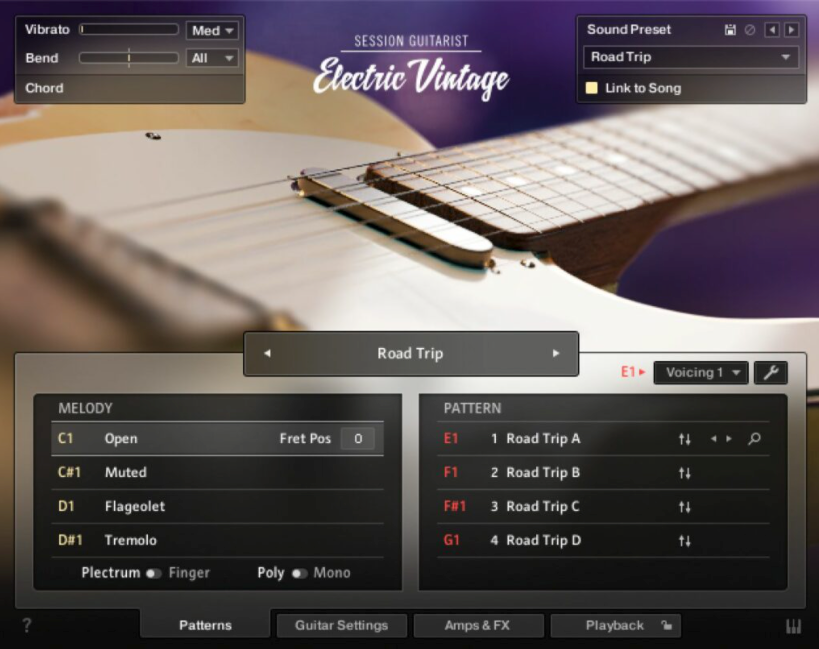 Native Instruments Session Guitarist - Electric Vintage