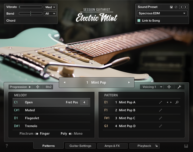 Native Instruments Session Guitarist - Electric Mint