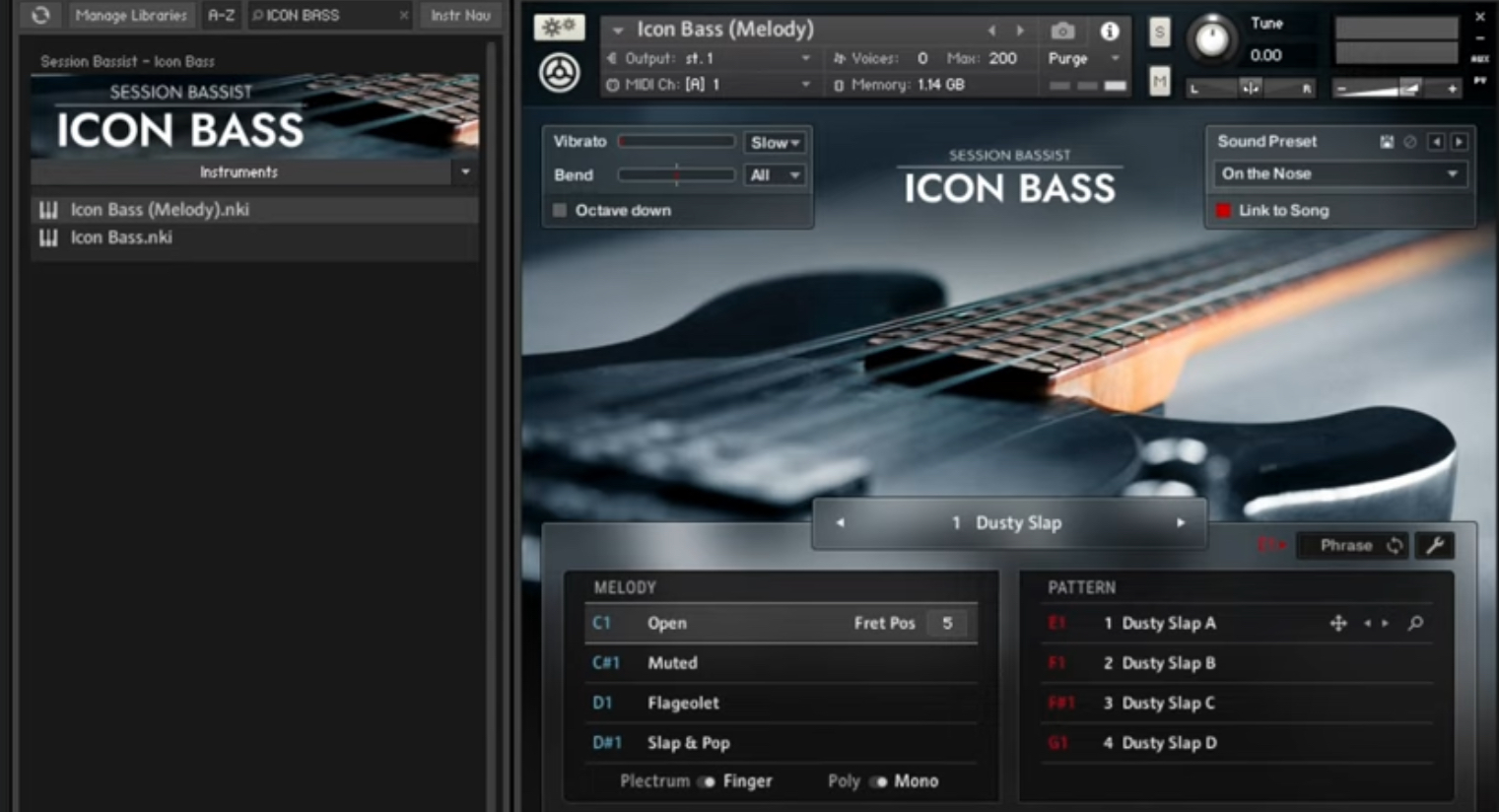 Native Instruments Session Bassist - Icon Bass