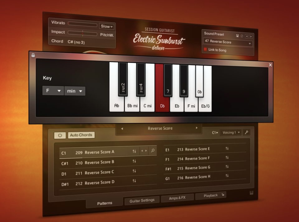 Session guitarist - Electric Sunburst Deluxe.