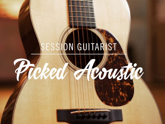 Native Instruments Session Guitarist - Picked Acoustic