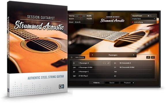 Native Instruments Session Guitarist - Strummed Acoustic
