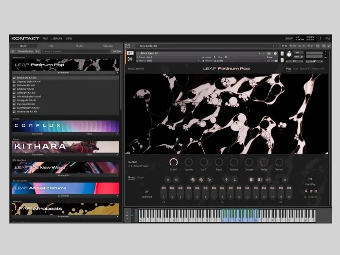 Native Instruments Leap Platinum Pop