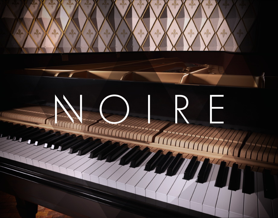 Native Instruments Noire
