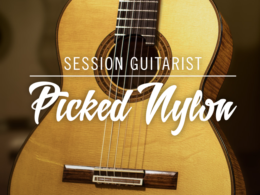 Native Instruments Session Guitarist - Picked Nylon