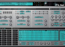 Rob Papan Punch
