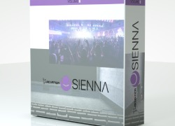Acustica Audio - Best Price - Sienna Vol E